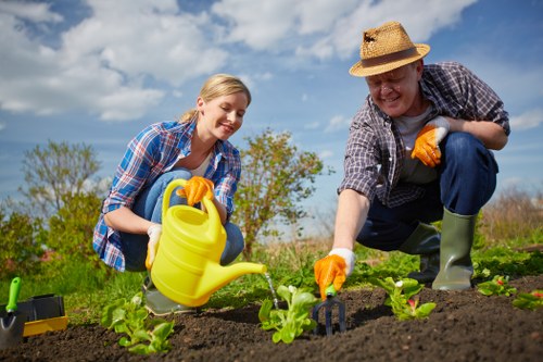 A woman and a man are working together in a garden during daytime, planting young green lettuce and other vegetable seedlings in a well-maintained outdoor space. The woman, wearing a blue checkered shirt, has blonde hair tied back, and is holding a yellow watering can, preparing to water the plants. The man, dressed in a gray checkered shirt, a straw hat, and green rubber boots, is kneeling and gently tending to the seedlings, wearing orange gloves. The garden bed features dark, rich soil with evenly spaced plants, surrounded by a lush green lawn and a backdrop of trees showing early autumn foliage. Overhead, a bright blue sky with a few scattered clouds indicates good weather. In the background, a wooden fence encloses the garden area, which appears to be part of a residential backyard or community garden, aligning with gardening and outdoor maintenance services in Eltham or nearby areas. The scene captures a peaceful outdoor activity emphasizing sustainable gardening, planting, and outdoor care.