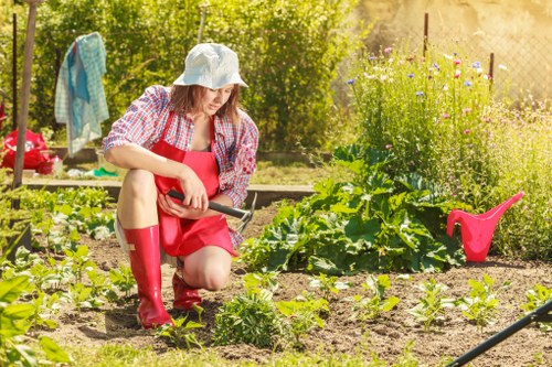 Professional lawn mowing service in Eltham