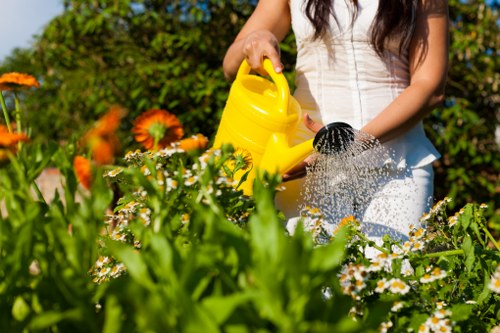 The image depicts a woman in a garden during daylight, watering a variety of flowering plants with a yellow watering can. The garden features a lush, green lawn with dense foliage, including small white daisies and orange marigolds in the foreground. Behind her, there are mature trees and a hedge, creating a private outdoor space typical of residential gardens in Eltham. The plants appear healthy and vibrant, with natural tones of green, white, and orange, complemented by the textured, dark soil and the wooden decking area visible in the background. The scene is well-lit by natural sunlight, suggesting clear weather. This setting emphasizes the importance of regular garden maintenance and supports local gardening and lawn care services offered by Lawn Mowing Eltham in the Eltham area, with a focus on outdoor landscaping, flower bed upkeep, and horticultural care.